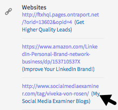 add description next to the URL in Linkedin profile