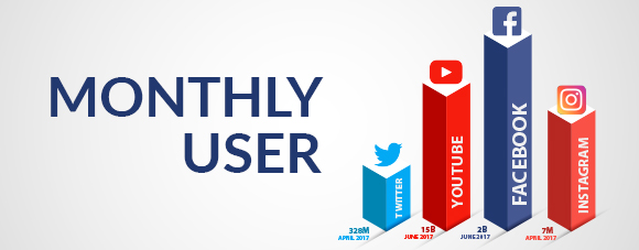 Social Media Monthly User